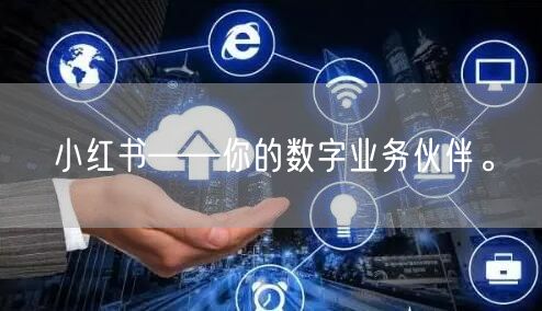小红书——你的数字业务伙伴。