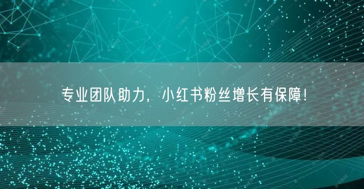 专业团队助力，小红书粉丝增长有保障！