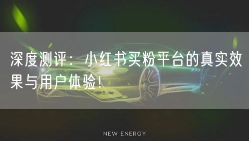 深度测评：小红书买粉平台的真实效果与用户体验！