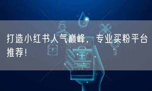 打造小红书人气巅峰，专业买粉平台推荐！