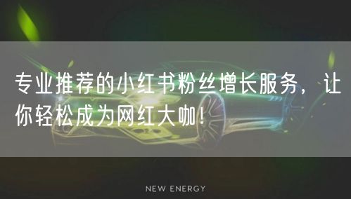 专业推荐的小红书粉丝增长服务，让你轻松成为网红大咖！