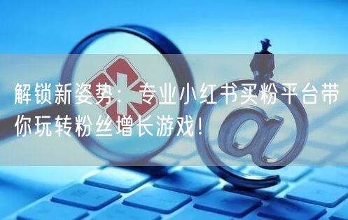 解锁新姿势：专业小红书买粉平台带你玩转粉丝增长游戏！