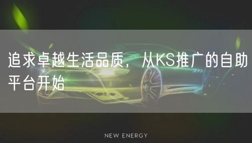 追求卓越生活品质，从KS推广的自助平台开始